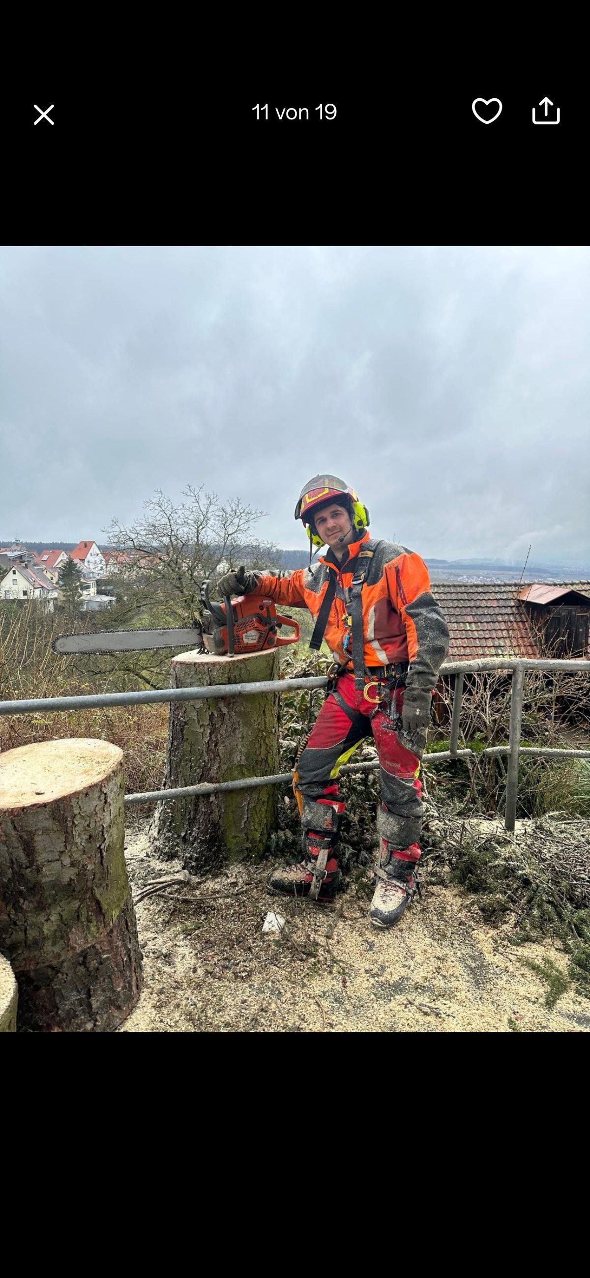 Baumpfleger im Einsatz